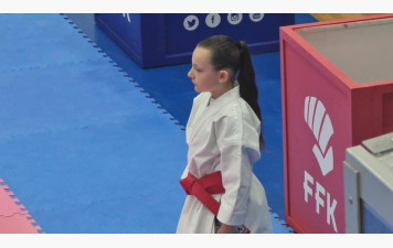 PLUIES DE MEDAILLES NATIONALES