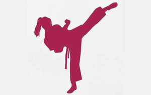 COURS EN LIGNE KARATE AU FEMININ