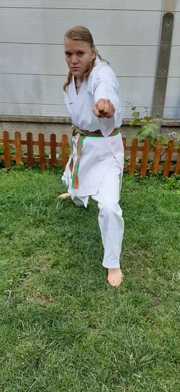 PARA KARATE HANDIKARATE