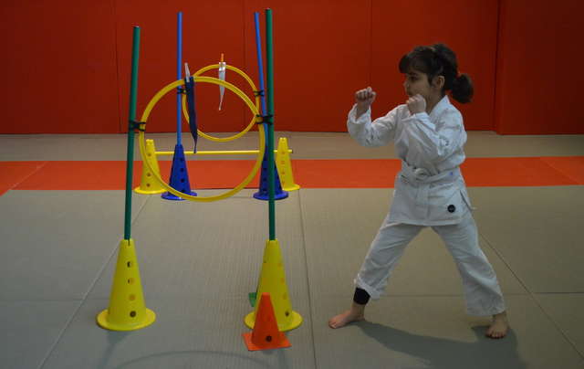 1ère COUPE KARATÉ TECHNIQUES MINI POUSSINS POUSSINS 27 mars 2016